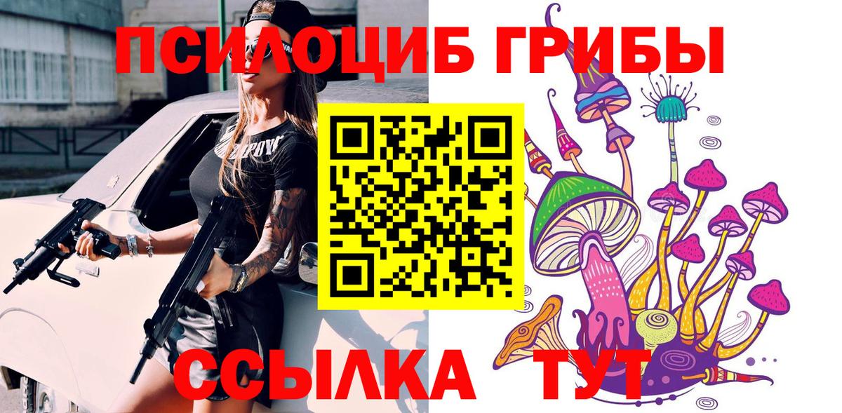 Урус-Мартан  Галлюциногенные грибы прущие грибы  наркотики  Вход с VPN 